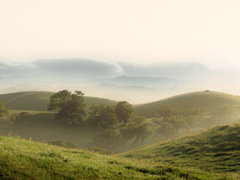 Valle verde en los alrededores de Bilbao