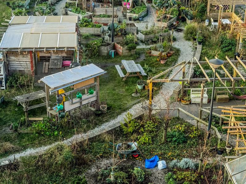 Vista aérea de un huerto urbano comunitario con casetas de madera y bancales