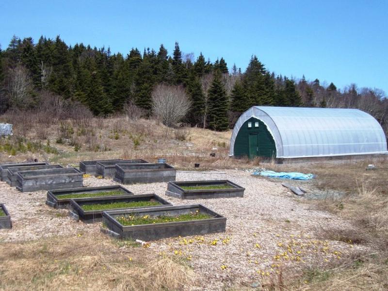 Bancales elevados y túnel de cultivo en un huerto rural