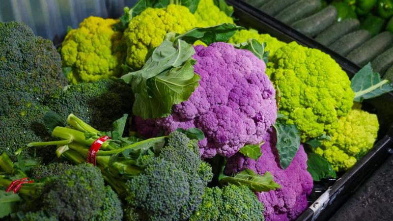 Brócoli y coliflor recién cosechados
