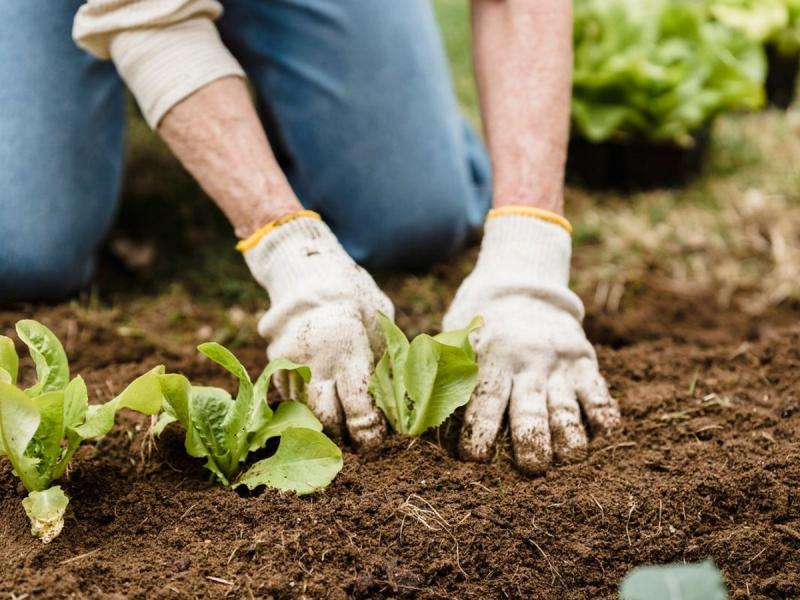 Persona plantando en un huerto privado en Erandio