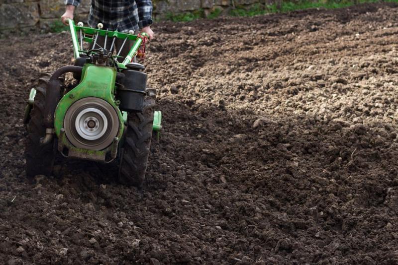 Preparando la tierra del huerto con un motocultor