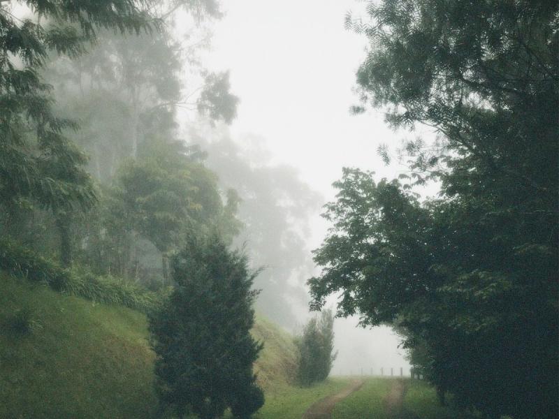 Camino del Parque de Paxariños en Lugo