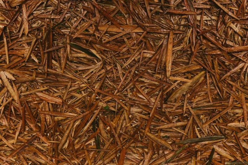 Acolchado de mulch protegiendo el suelo
