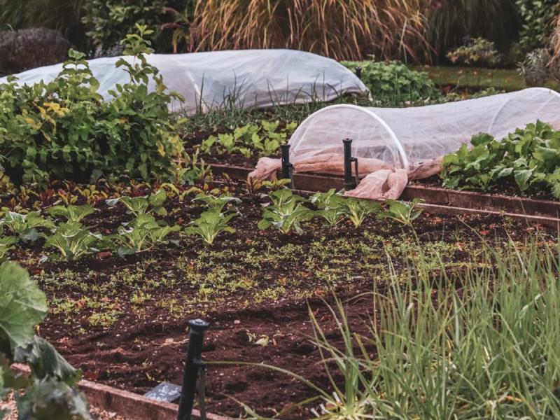 Huerto urbano con cubiertas protectoras para las plantas en Palencia