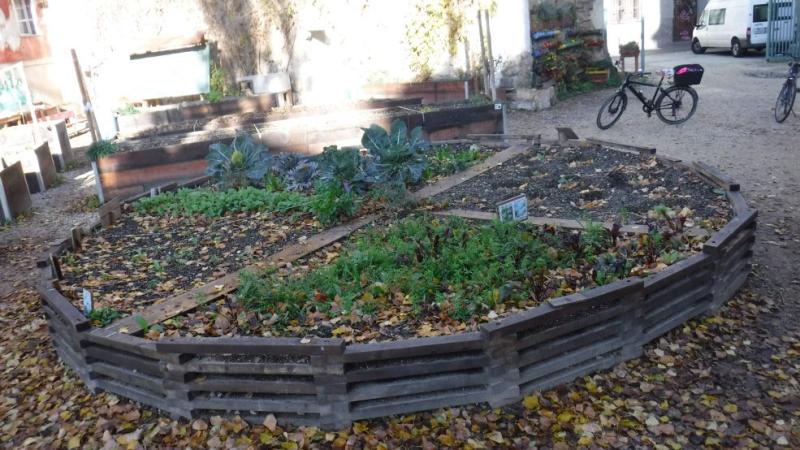Bancal circular de un huerto urbano comunitario en el Casco Viejo de Pamplona