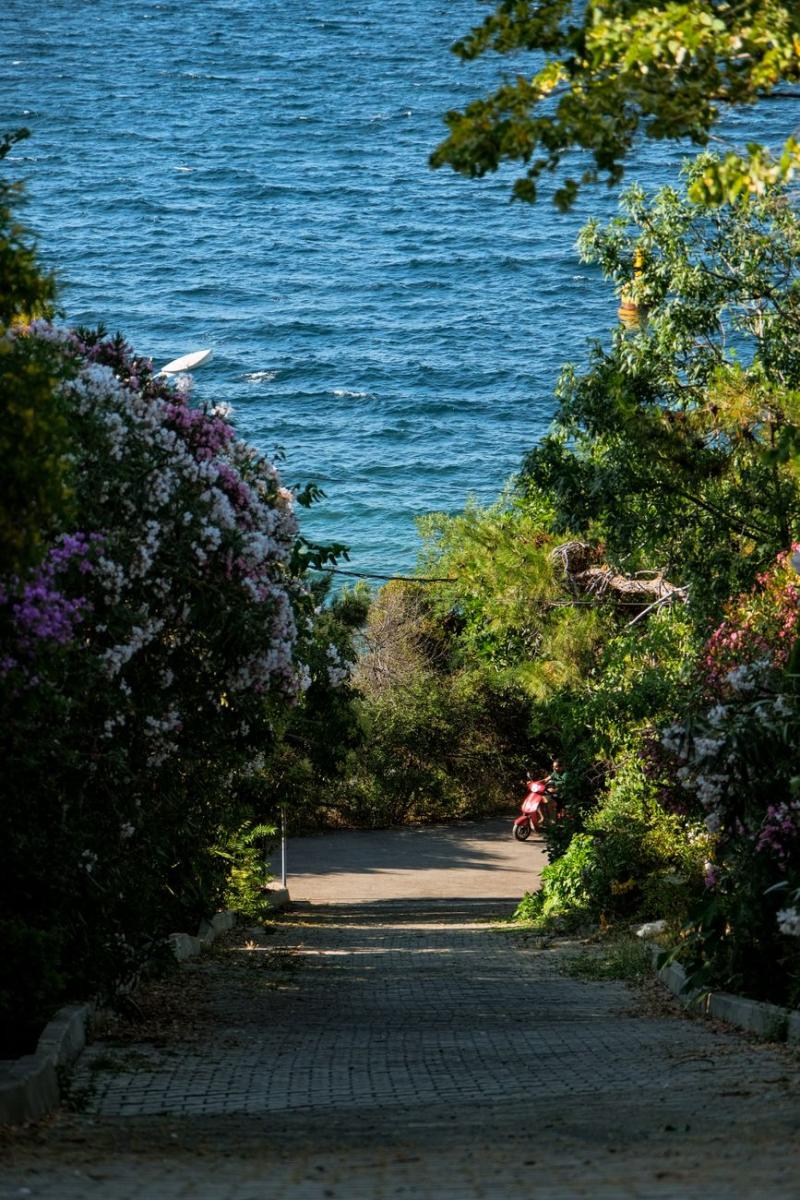 Camino con flores hacia una vista al mar, ilustrativo