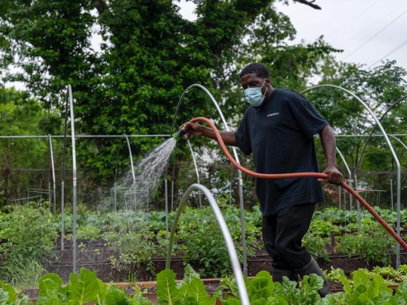 Persona con mascarilla regando plantas en un huerto comunitario de Santa Marta de Tormes