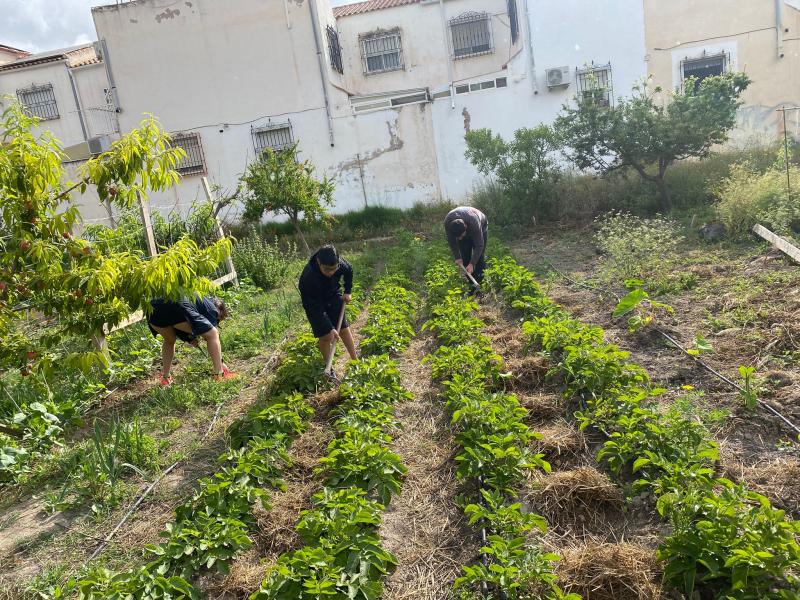 Grupo trabajando en los bancales del huerto de San Antón, de espaldas, con las casas del barrio al fondo
