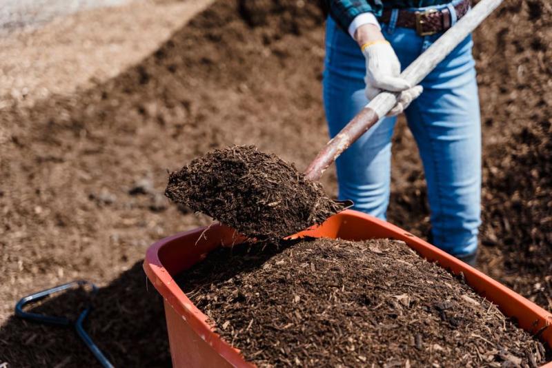 Enmendando el suelo con compost en septiembre