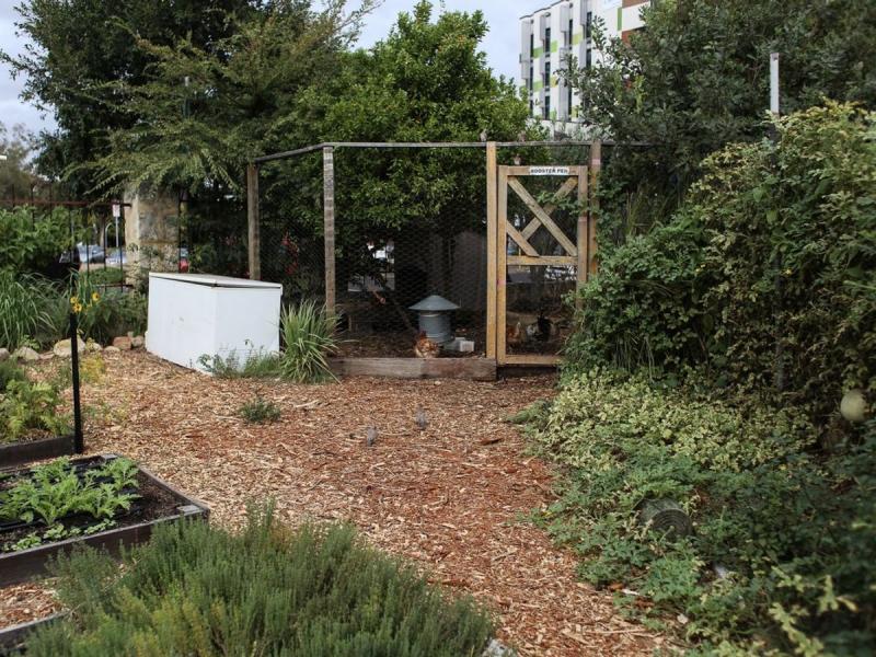 Huerto comunitario urbano con gallinero en Valladolid