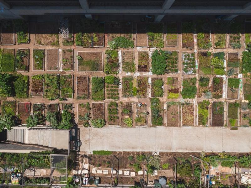 Vista aérea de un huerto urbano comunitario en Zaragoza