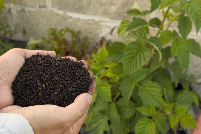 Enmendando el suelo con compost en enero antes de la siembra de primavera